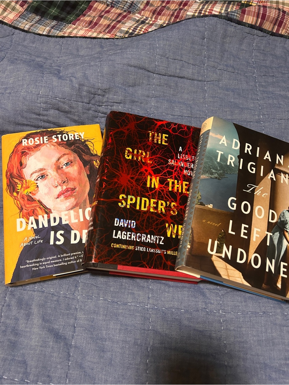 (3) Book Bundle Hardbacked books Beach reading